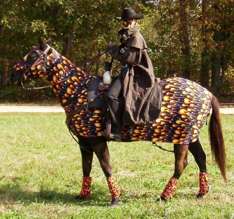 Забавные костюмы лошадей и их всадников