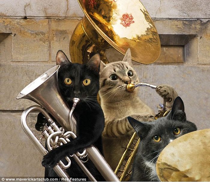 Коты-музыканты в календаре Musical Moggs 2012