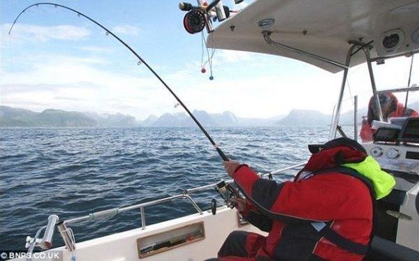 У берегов северной Норвегии поймали атлантического палтуса весом 241 килограмм
