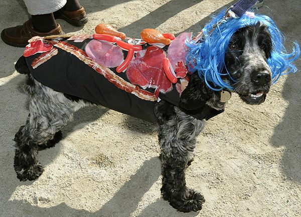 Хэллоуин парад собак в Нью-Йорке