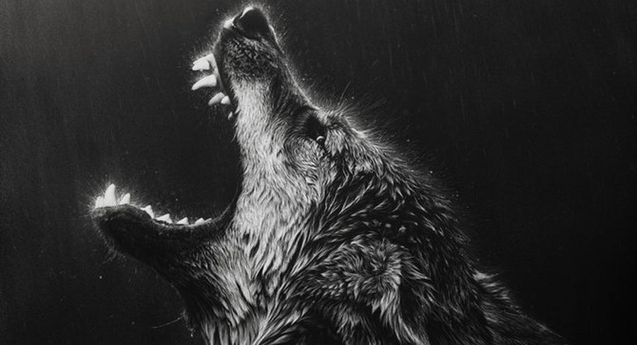 Картины животных в технике граттажа от художницы Cristina Penescu