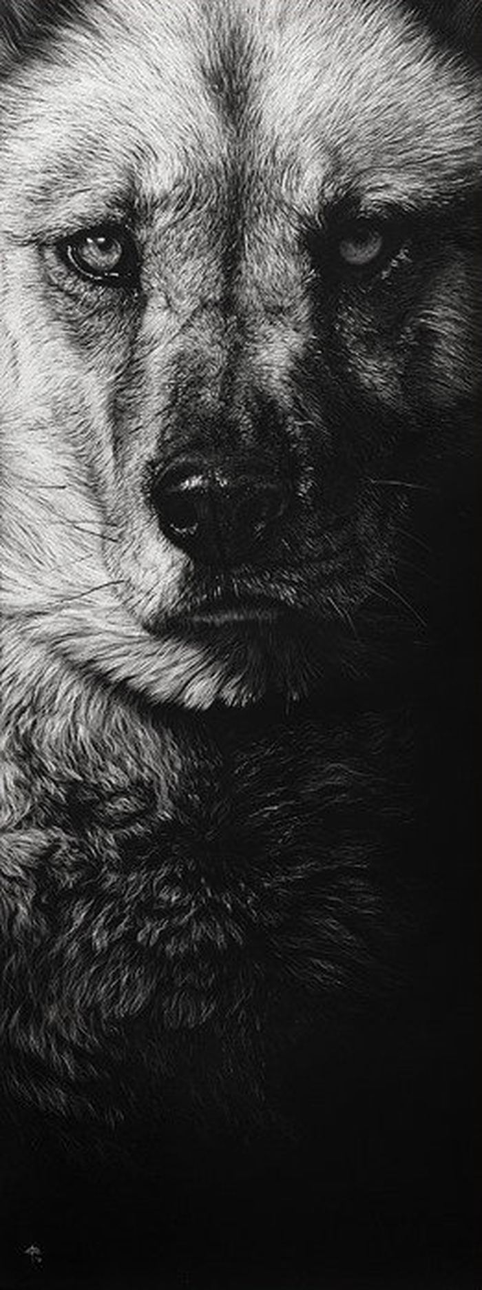 Картины животных в технике граттажа от художницы Cristina Penescu