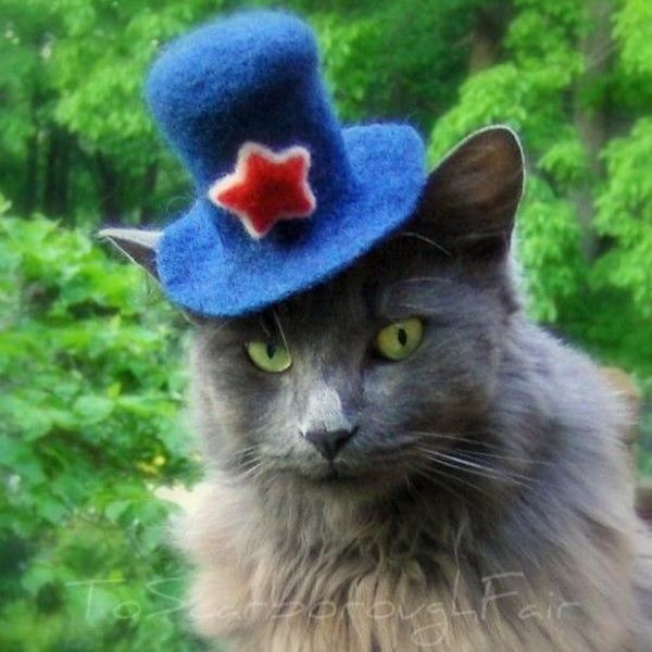 Модные шляпки для кошек