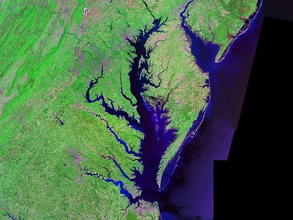 Вид на Чесапикский залив со спутника Landsat.