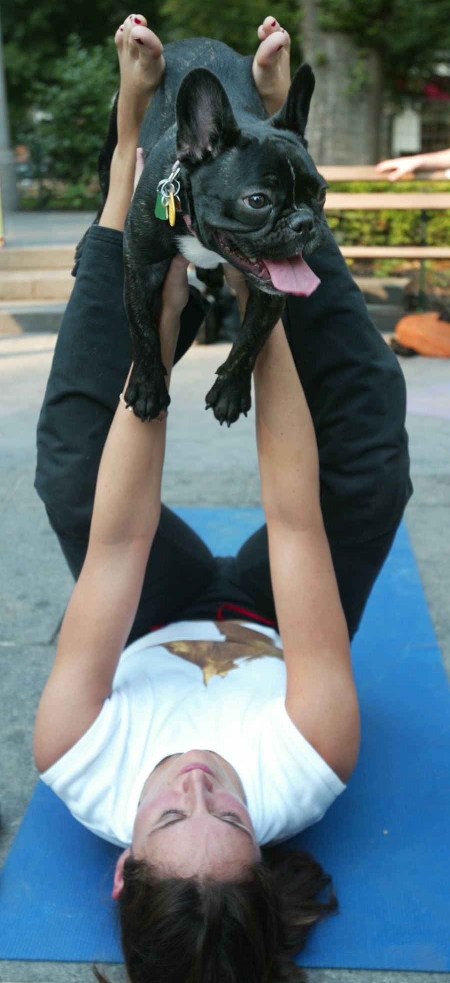 Дога-йога - новомодная зарядка для людей и собак