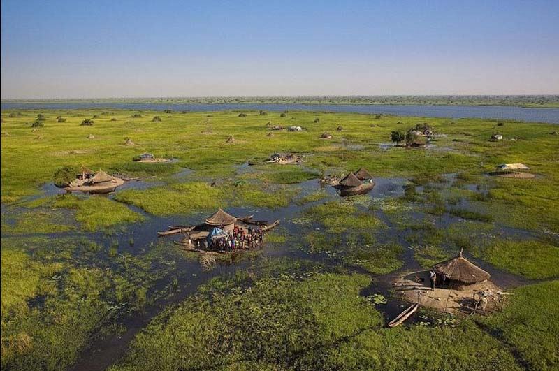 Судд — огромное болото в Южном Судане
