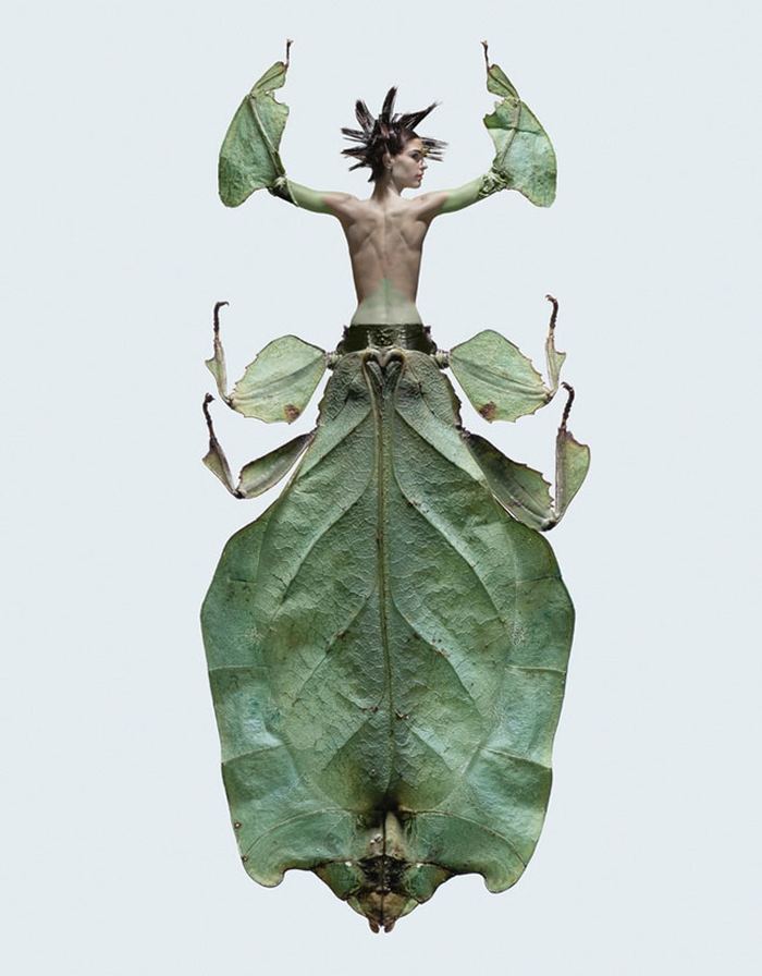 Необычные 'насекомые' фотографа Laurent Seroussi