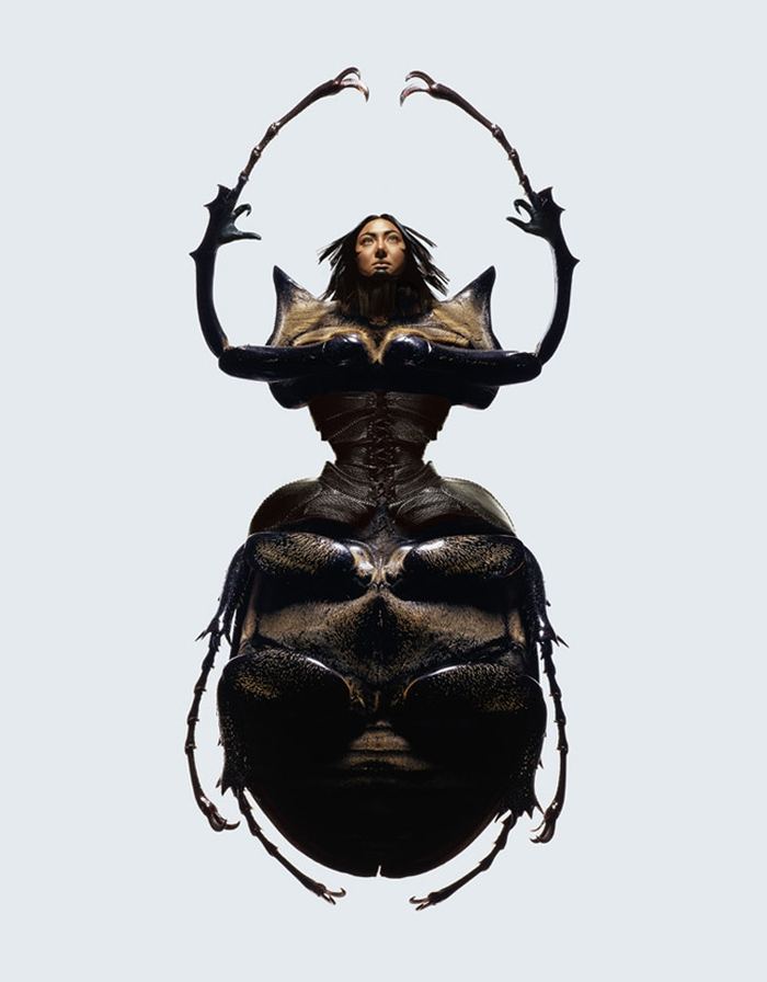 Необычные 'насекомые' фотографа Laurent Seroussi