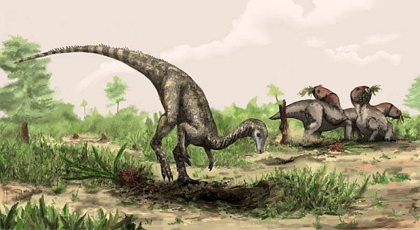 Nyasasaurus (изображение Natural History Museum, London  / Mark Witton).