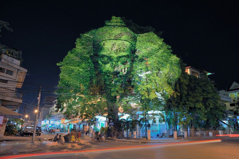Световая проекция 'Камбоджийские деревья'