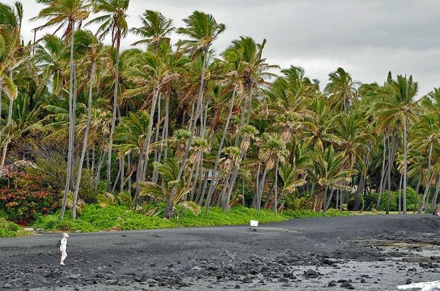 Парк Punalu Beach на Гавайских островах