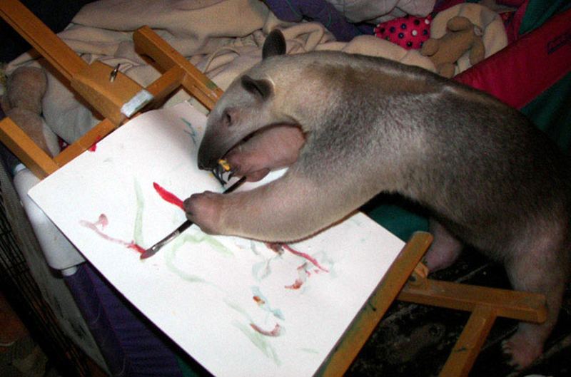 Именитые животные-художники