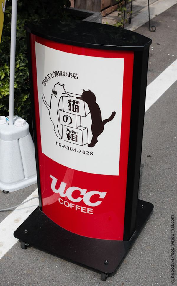 Кафе с кошками в Осаке
