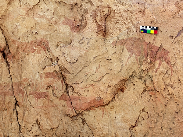 Изображения на стенах скального убежища Тешуинат II на юго-западе Ливии (фото S. di Lernia и D. Zampetti).