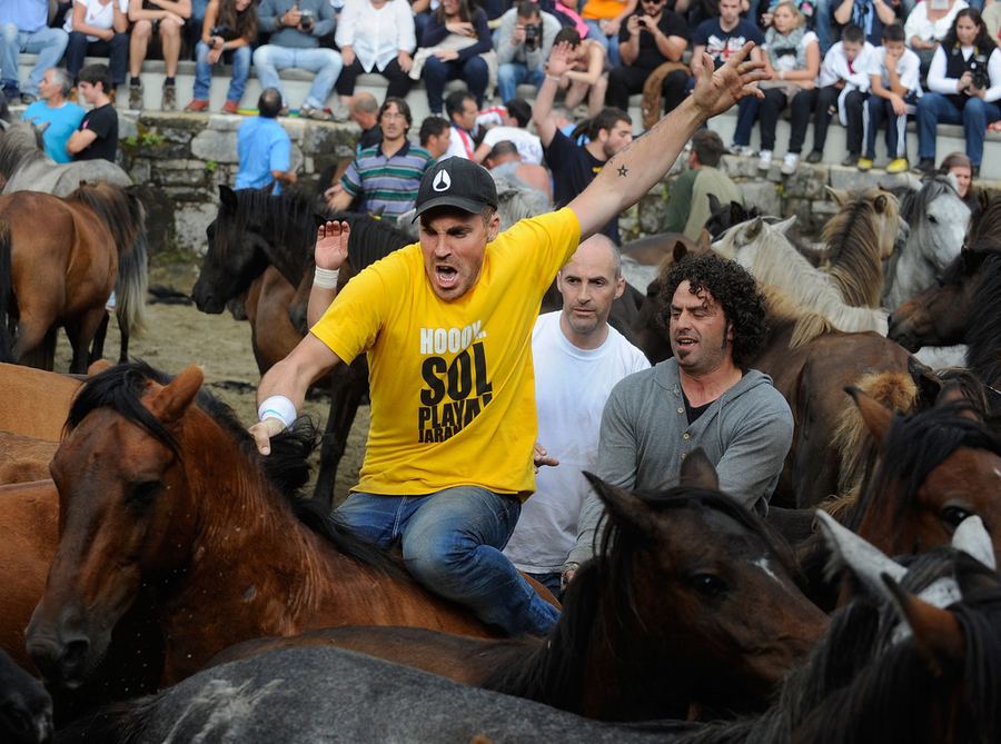 Фестиваль стрижки диких лошадей в Испании