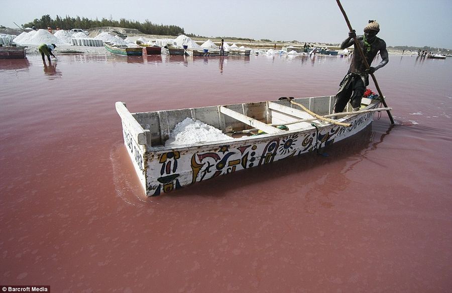 Необычное озеро Ретба в Сенегале