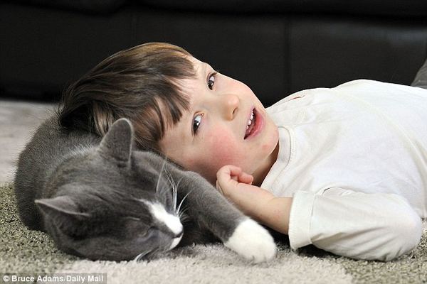 Бездомный кот помог аутичному мальчику стать общительнее