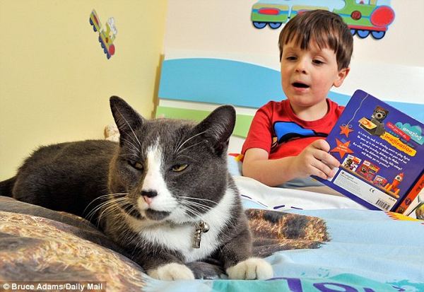 Бездомный кот помог аутичному мальчику стать общительнее