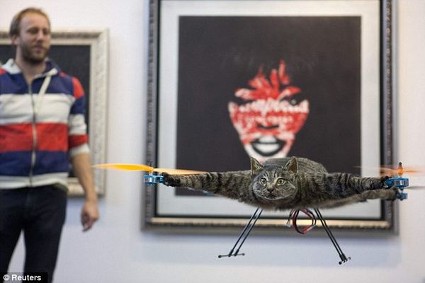 Голландец создал необычный арт-проект в память о погибшей кошке