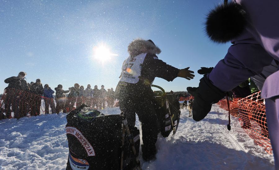 Гонка на собачьих упряжках - Iditarod 2012