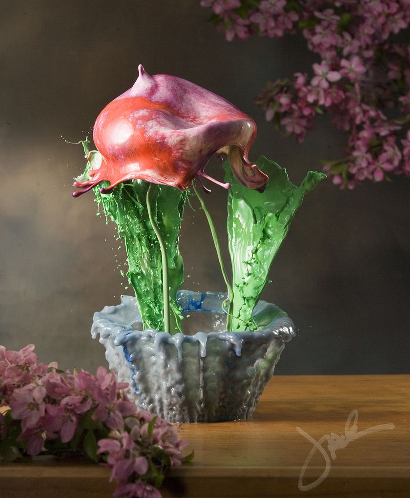'Водяные цветы' фотографа Jack Long