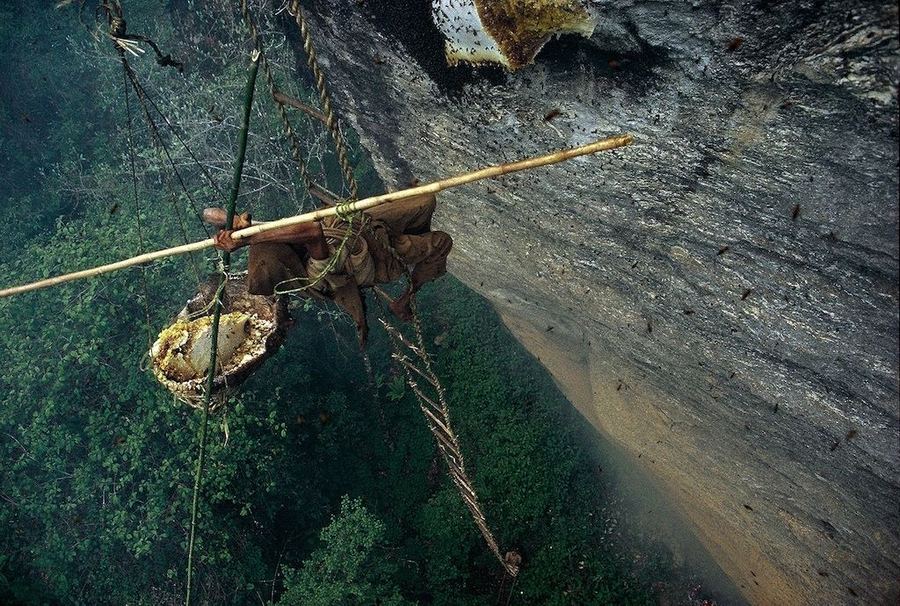 Охотники за диким мёдом в Непале