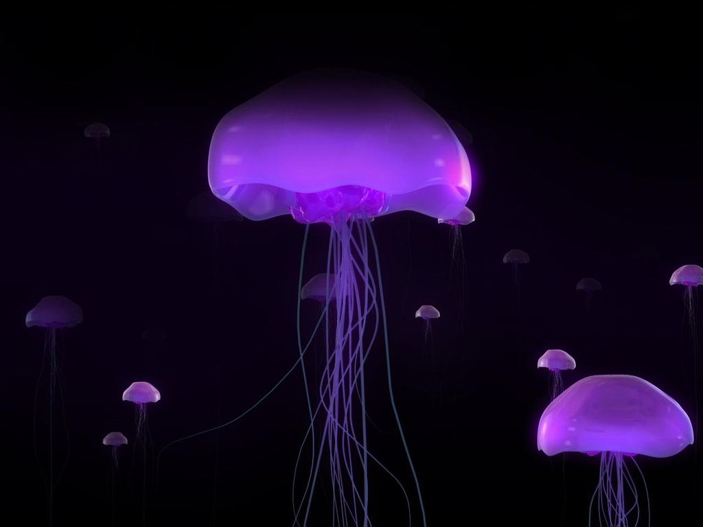 Интересные факты о медузах