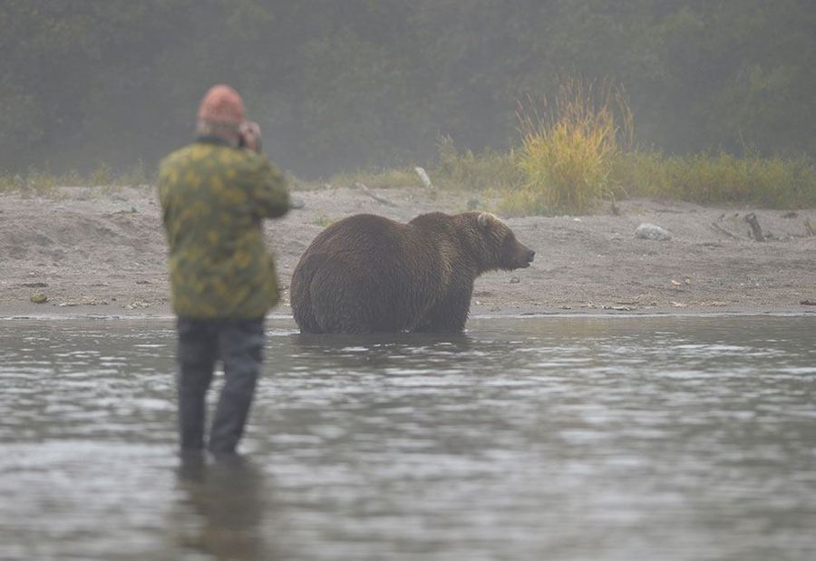 Большой медвежий репортаж с озера Курильское