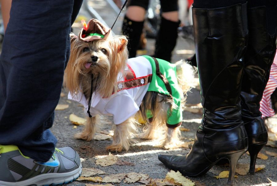 Костюмированный парад собак на Томпкинс-сквер