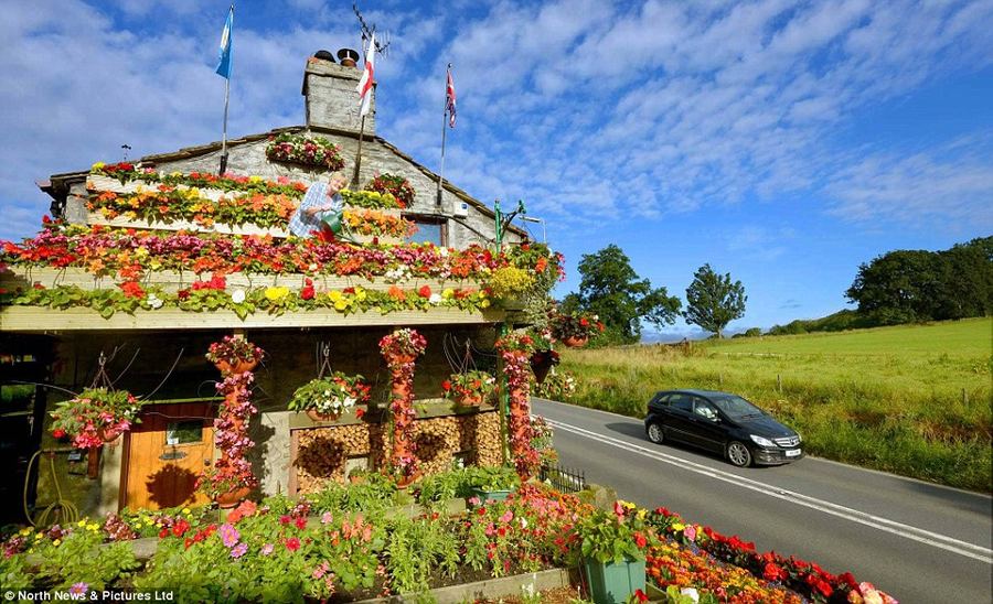 Уютный дом в цветках
