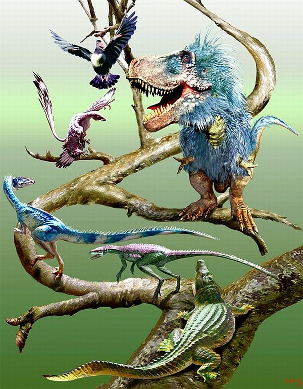 Эволюционное древо динозавров и птиц (изображение Luis Rey).