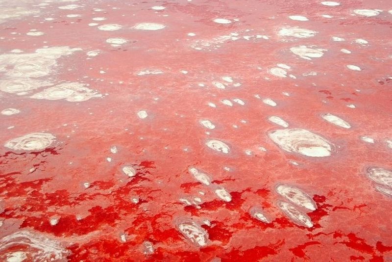 Красное озеро Натрон