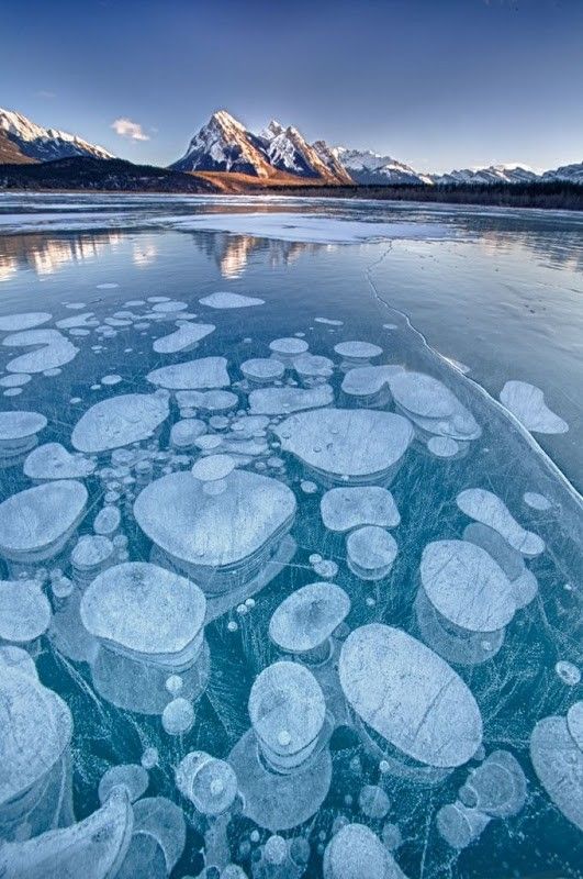 Ледяные пузыри озера Абрахам
