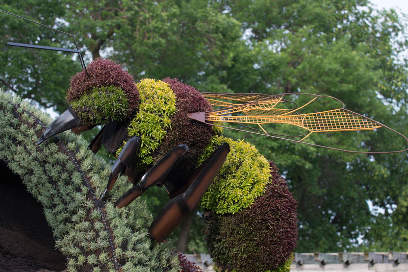 Монреальская выставка скульптур, сделанных из цветов