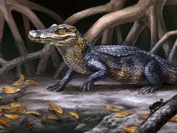 Culebrasuchus mesoamericanus (изображение Danielle Byerle / Florida Museum of Natural History).