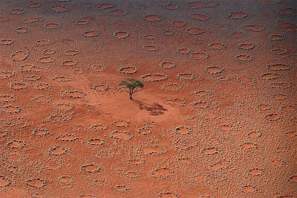 Круги в Намибии (фото N. Juergens).