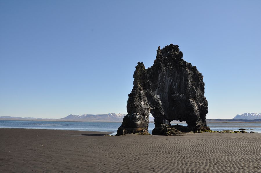 Скала Динозавр (Hvítserkur) в Исландии