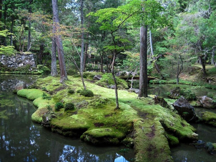 Сад Сайходжи (Saihoji), Япония