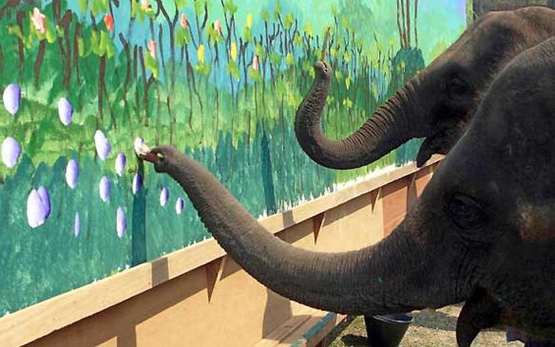 Самые выдающиеся живописные полотна, созданные животными
