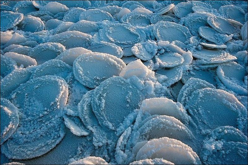 Ниласовые льды: Блинчатый лед (Pancake ice)