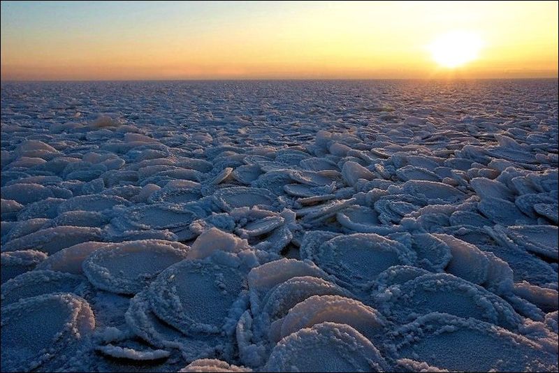 Ниласовые льды: Блинчатый лед (Pancake ice)