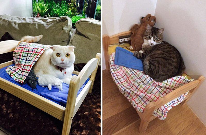 Деревянные кроватки для кошек и собак