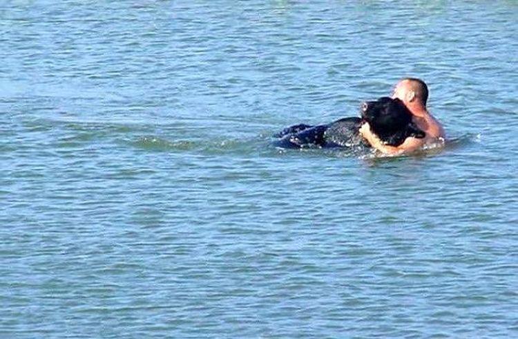 Полицейский рискнул своей жизнью ради тонувшего барибала