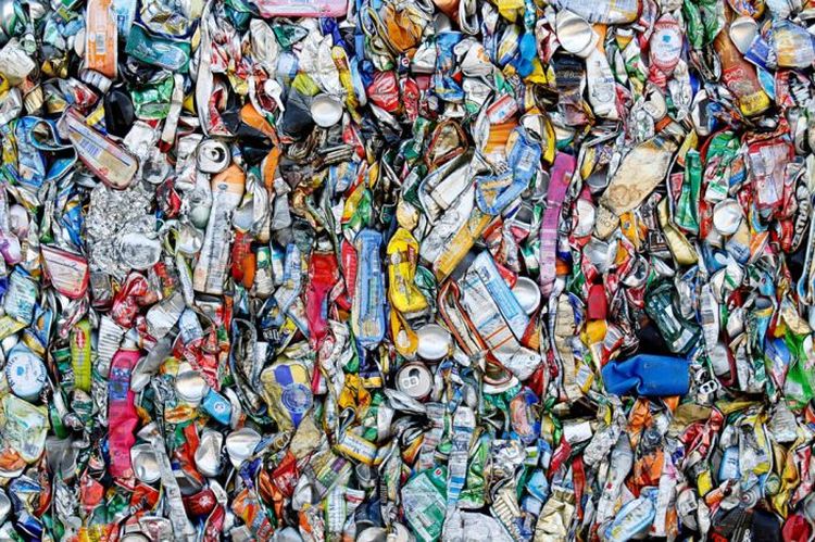 Факты: Время разложения различного бытового мусора