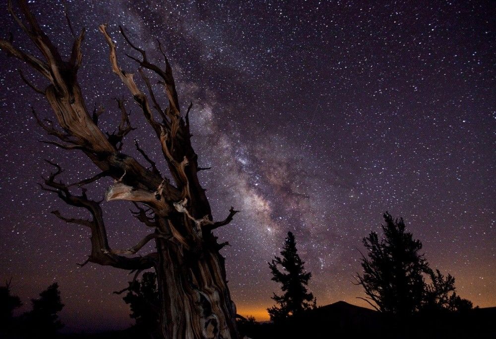 Лучшие фотографии нашей Вселенной по версии обсерватории Гринвича