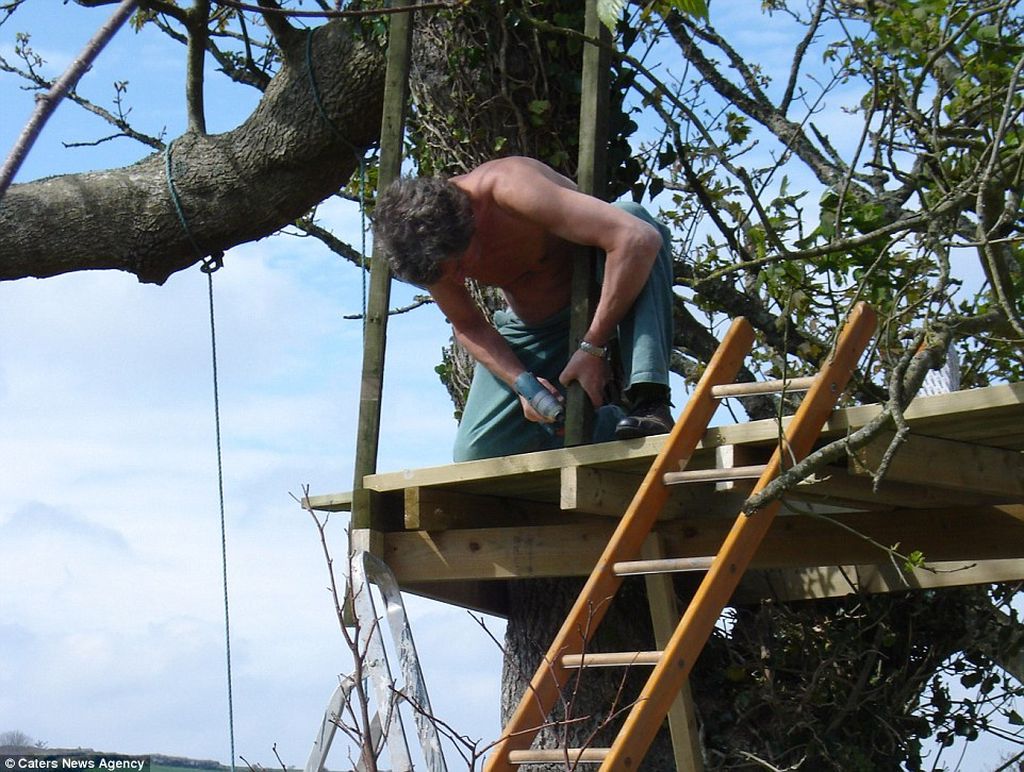 Британец превратил сказочный домик на дереве для детей в уютный отель