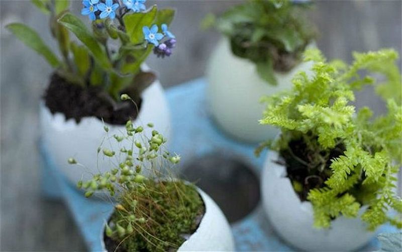 20 мини-садов, которые поместятся в ладошке