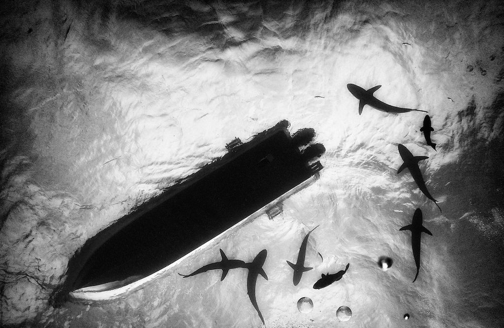 Подводный мир Ануара Патьяне (Anuar Patjane)