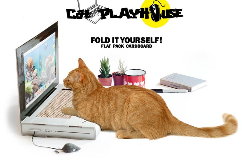 ноутбук для кошек