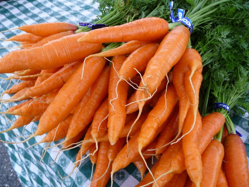 Почему морковь оранжевого цвета
